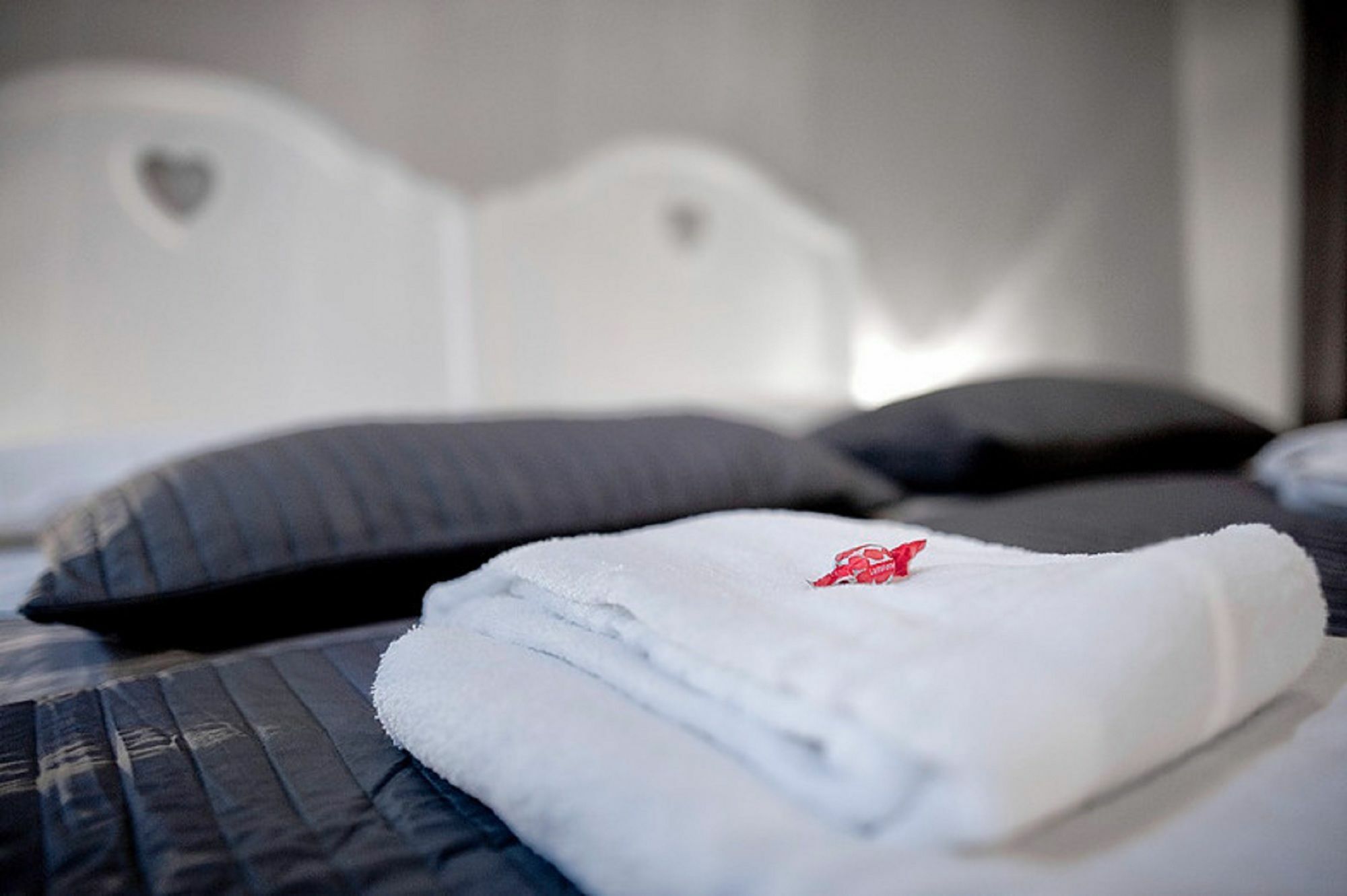 Tinkerbell Bed & Breakfast โรม ภายนอก รูปภาพ